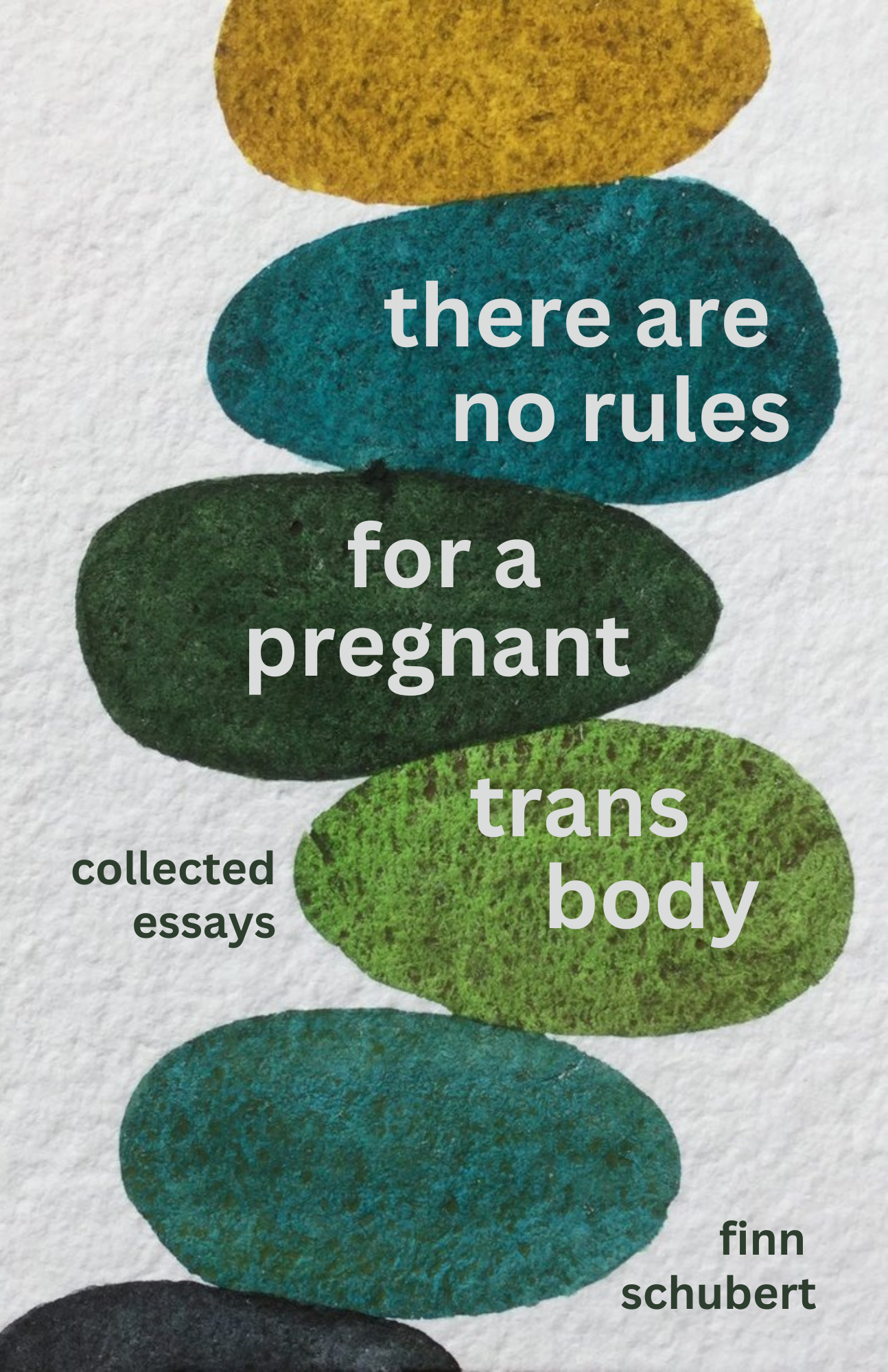 Cover for There Are No Rules for a Pregnant Trans Body